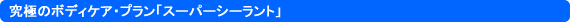ɂ̃{fBPAEvuX[p[V[gv