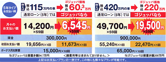 5年タイプ お支払い例